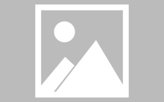 许昌新区景区网站建设（in art criticism,you must assume）